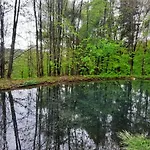 Dzieciol Chalé