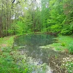 Dzieciol Chalé Długopole-Zdrój