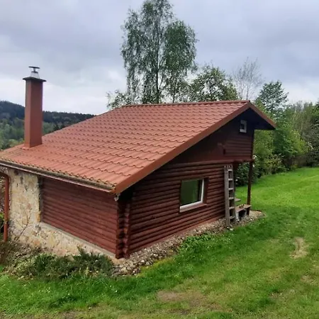 Dzieciol Długopole-Zdrój