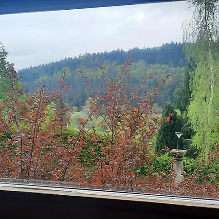 Chalet Dzieciol Długopole-Zdrój