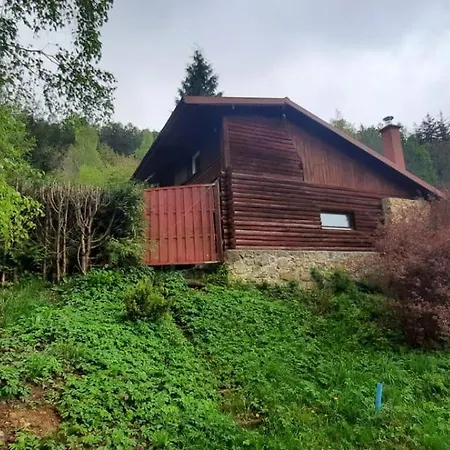 Chalet Dzieciol Dlugopole-Zdroj