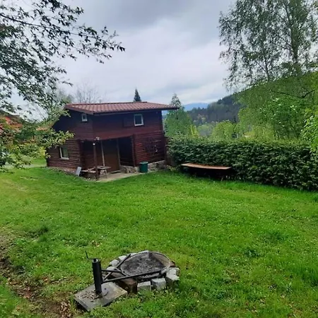 Dzieciol * Długopole-Zdrój