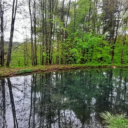 Dzięcioł Domek alpejski