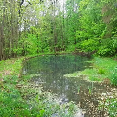 Dzięcioł Domek alpejski Długopole-Zdrój