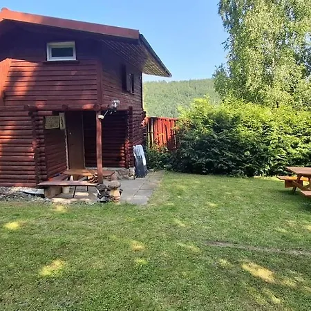 Dzieciol