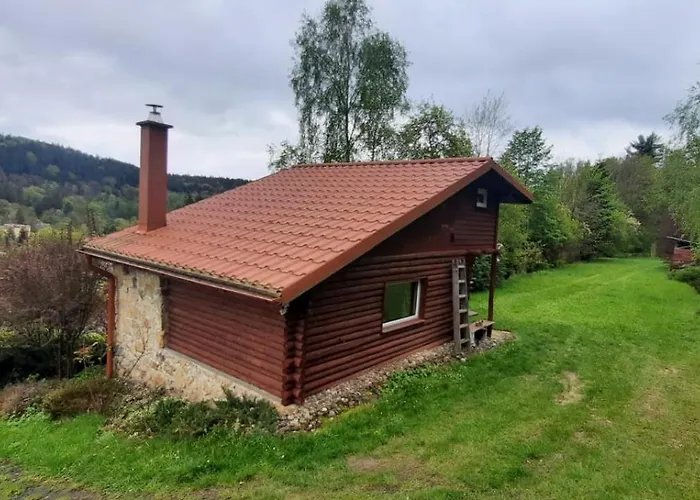 Dzieciol Długopole-Zdrój