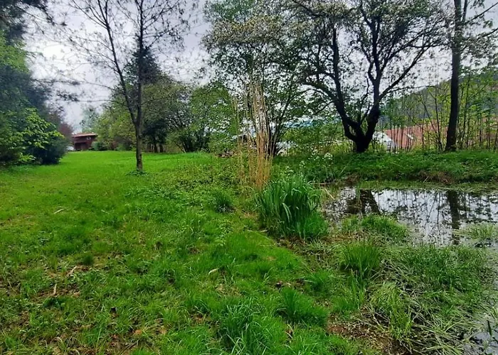 Dzieciol Chalé Długopole-Zdrój