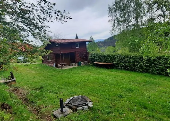 Dzieciol * Długopole-Zdrój