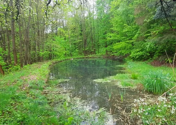 Dzieciol Chalé Długopole-Zdrój