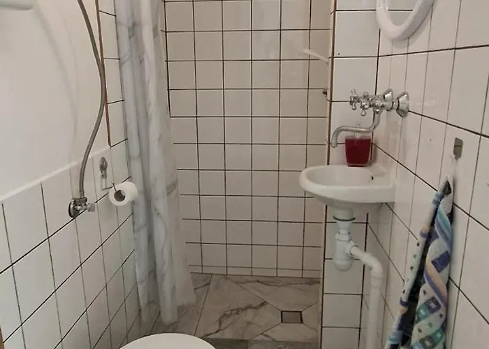 Dzieciol Długopole-Zdrój