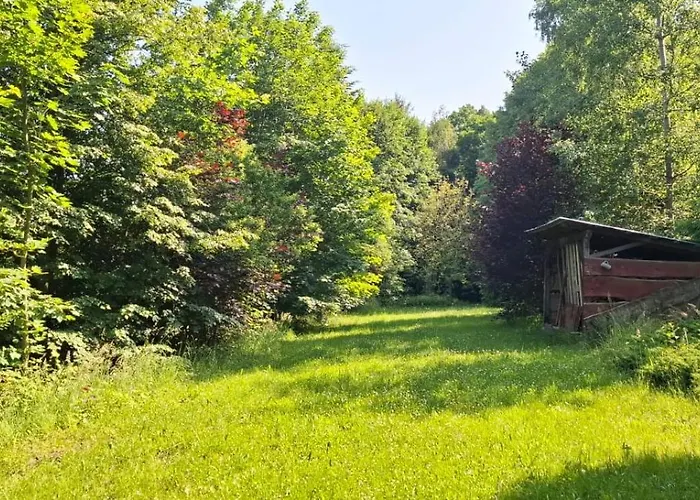 Dzieciol شاليه *